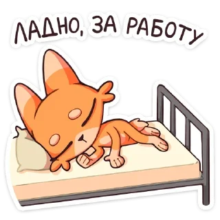 😴