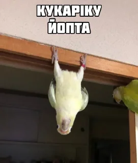 🤨