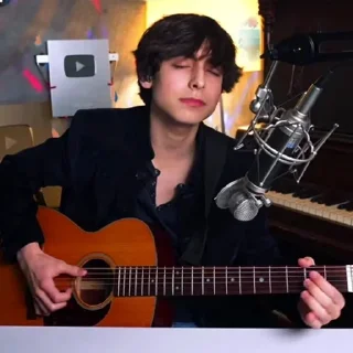 🎸