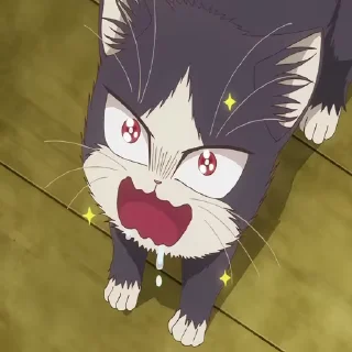 🤩
