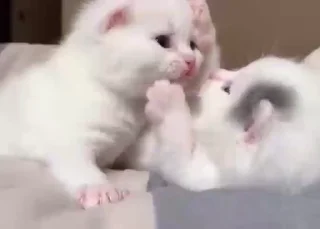 😘