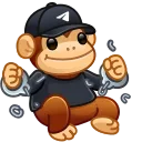 🐵