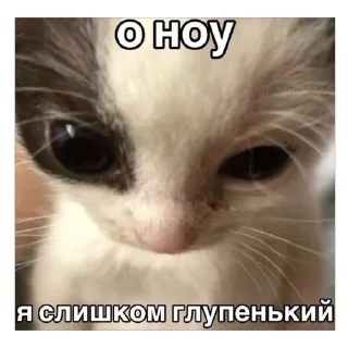 🥺