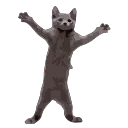 😼