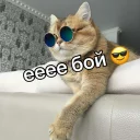 😎