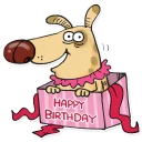 🎂