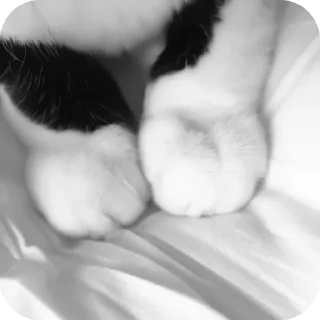 🤲