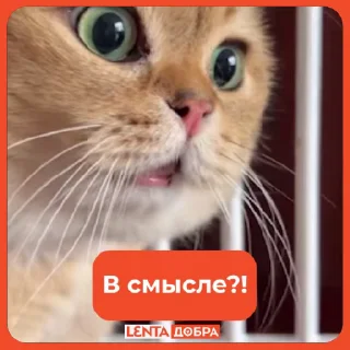 ⁉️