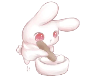 🐰