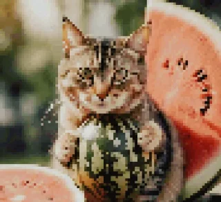 🍉