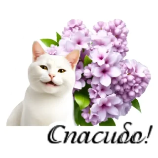 ❤