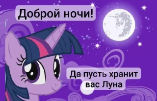 🌟
