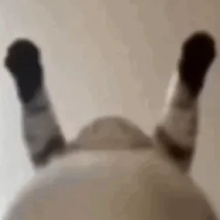 🥴