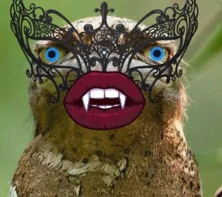 🪃