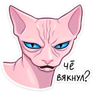 Рамзес (@TgSticker)