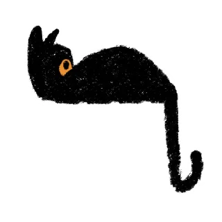 🐱