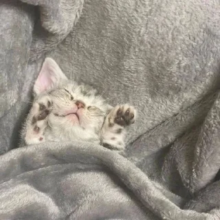 😴