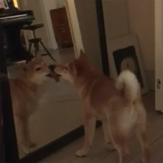 😛