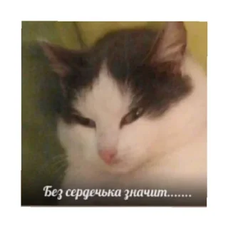 😠