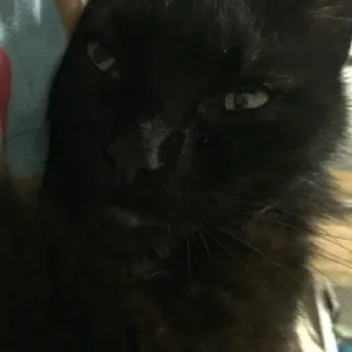 💩