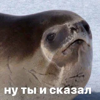 😑