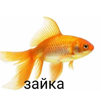 🥰