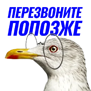 ⏲