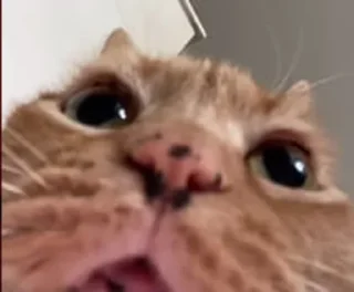 😛