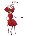 Ant