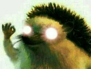 👌