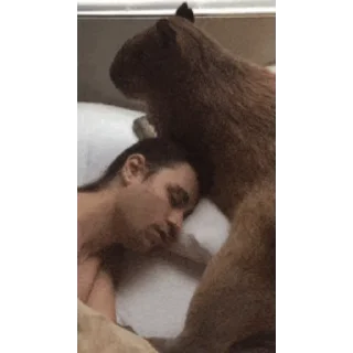 💤