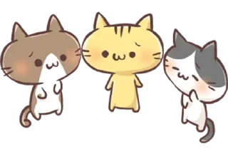 😺