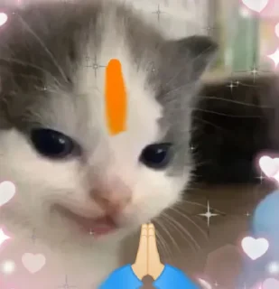 🙏