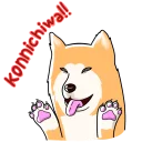 👋