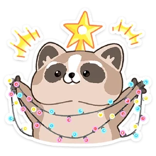 🌟