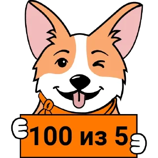💯