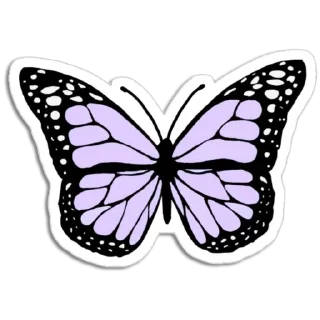 🦋