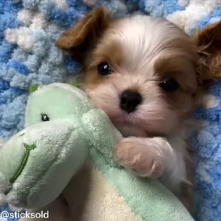 ❤️