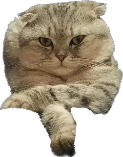 👈