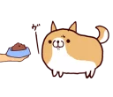 🐶