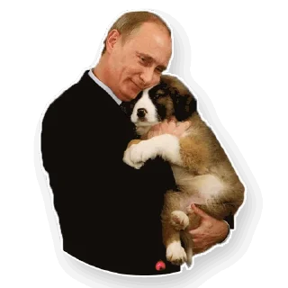 🐶