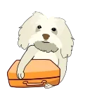 💼
