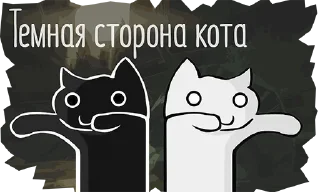 😾