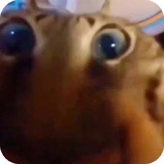 😛