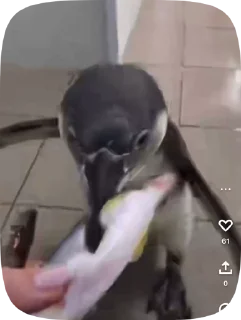 🙊