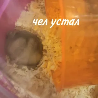 🥴