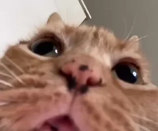 😕