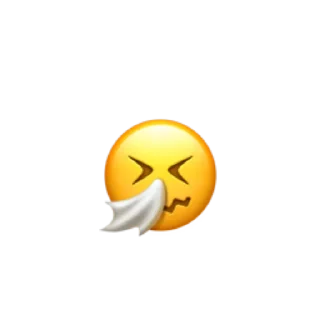 🤧