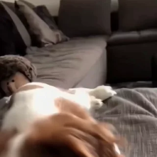 🐕‍🦺