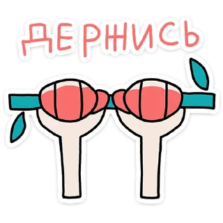 💪
